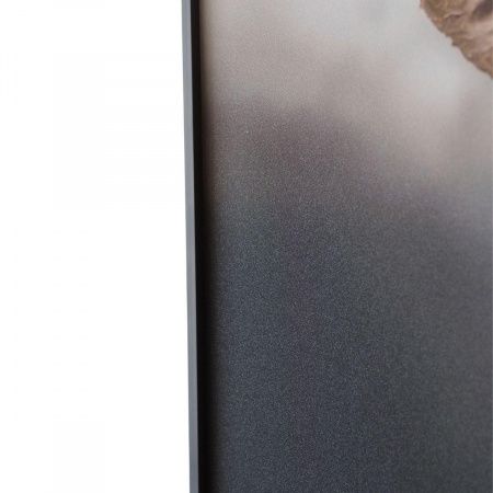 Картина Lumina Deco FP Elephant 80-120