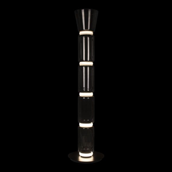 Торшер светодиодный Loft IT Noctambule 10193F/L