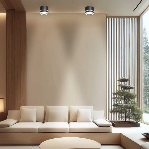 Потолочный светильник Apeyron Ray 16-121